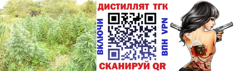 Купить закладки Харовск ТГК гашишное масло